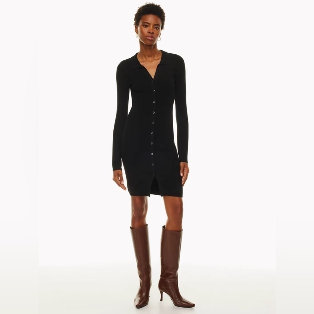 Aritzia Wilfred Cove Dress